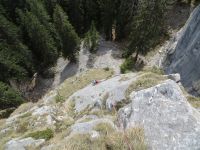 Klik za večjo sliko