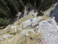 Klik za večjo sliko