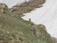 Klik za večjo sliko