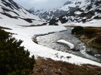 Klik za večjo sliko