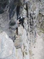 Klik za večjo sliko