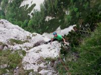 Klik za večjo sliko