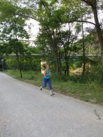 Klik za večjo sliko