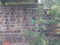 Klik za večjo sliko