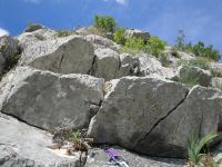 Klik za večjo sliko