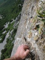 Klik za večjo sliko