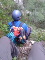 Klik za večjo sliko