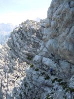 Klik za večjo sliko