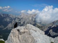 Klik za večjo sliko