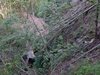 Klik za večjo sliko