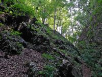 Klik za večjo sliko