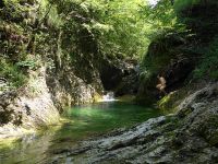 Klik za večjo sliko