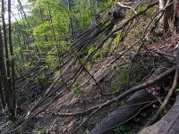 Klik za večjo sliko