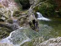 Klik za večjo sliko