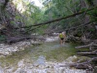 Klik za večjo sliko