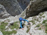 Klik za večjo sliko