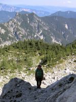 Klik za večjo sliko