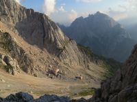 Klik za večjo sliko