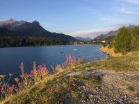 Klik za večjo sliko