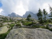 Klik za večjo sliko