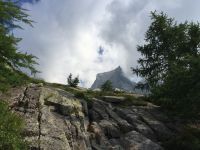 Klik za večjo sliko