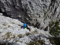 Klik za večjo sliko