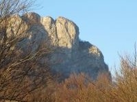 Klik za večjo sliko