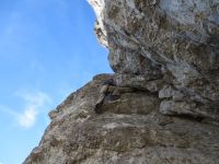 Klik za večjo sliko