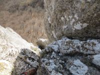 Klik za večjo sliko