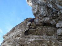 Klik za večjo sliko