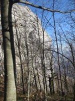 Klik za večjo sliko