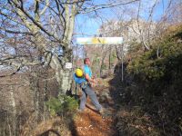 Klik za večjo sliko