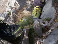 Klik za večjo sliko