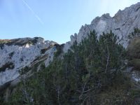 Klik za večjo sliko