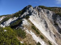 Klik za večjo sliko