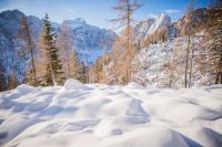 Klik za večjo sliko