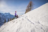 Klik za večjo sliko