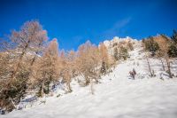 Klik za večjo sliko