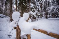 Klik za večjo sliko