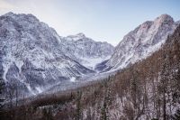 Klik za večjo sliko