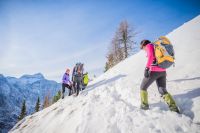 Klik za večjo sliko