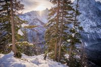 Klik za večjo sliko