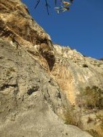 Klik za večjo sliko