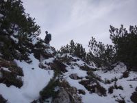 Klik za večjo sliko