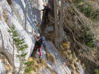 Klik za večjo sliko