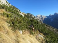 Klik za večjo sliko