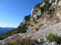 Klik za večjo sliko