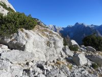 Klik za večjo sliko