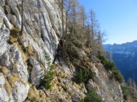 Klik za večjo sliko