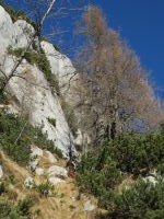 Klik za večjo sliko